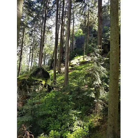 Am Nussbaum Appartamento Kleinhennersdorf